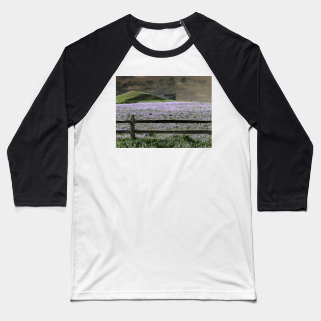 Lavender Dream Baseball T-Shirt by bgaynor